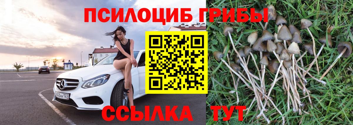 Галлюциногенные грибы ЛСД  Вход с VPN  Галлюциногенные грибы Magic Shrooms  Рассказово 